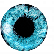 File trasparente vettoriale degli occhi blu