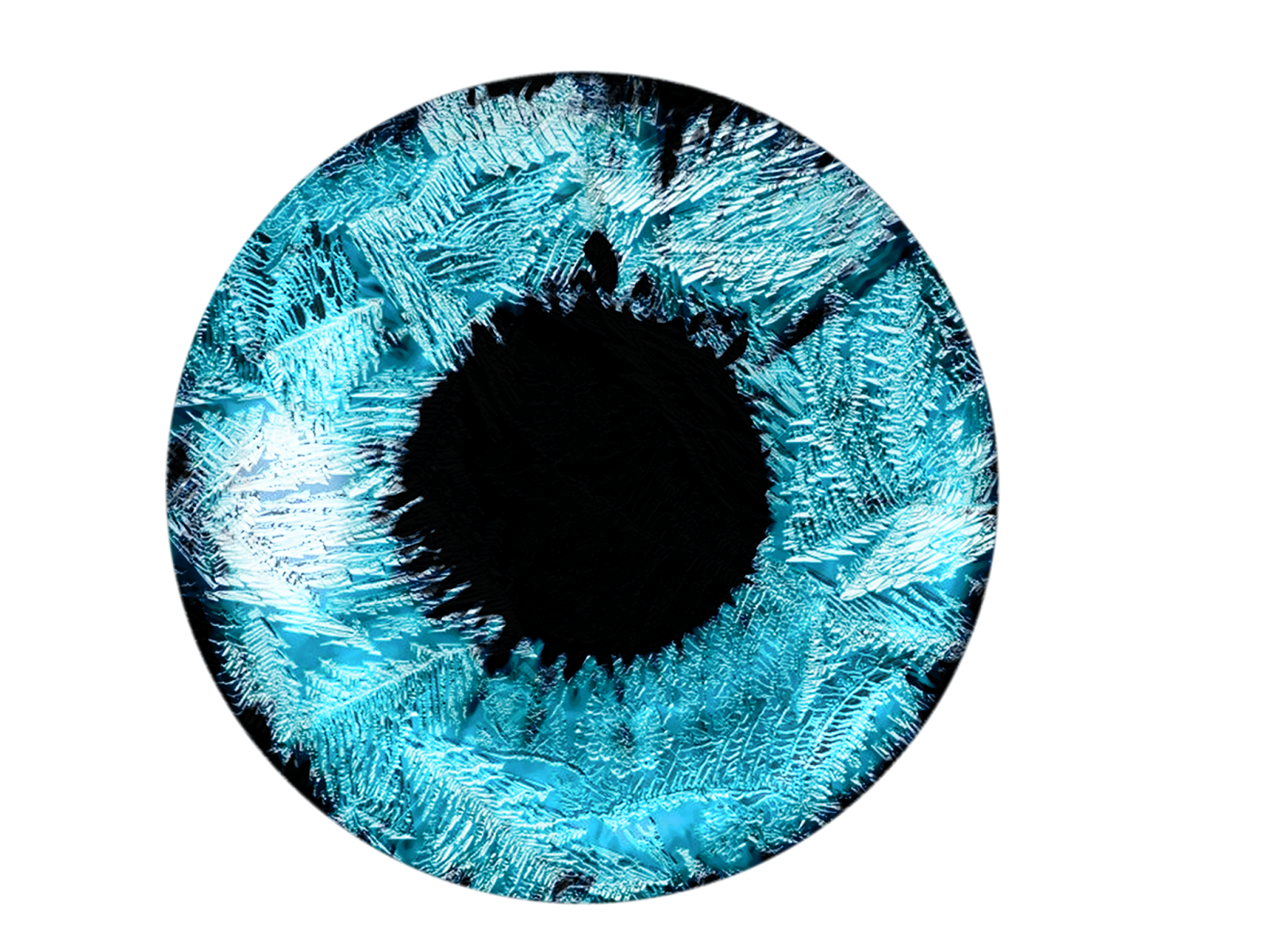 Blue Eyes Vector Transparent File