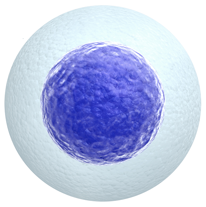 Body Cell Background PNG