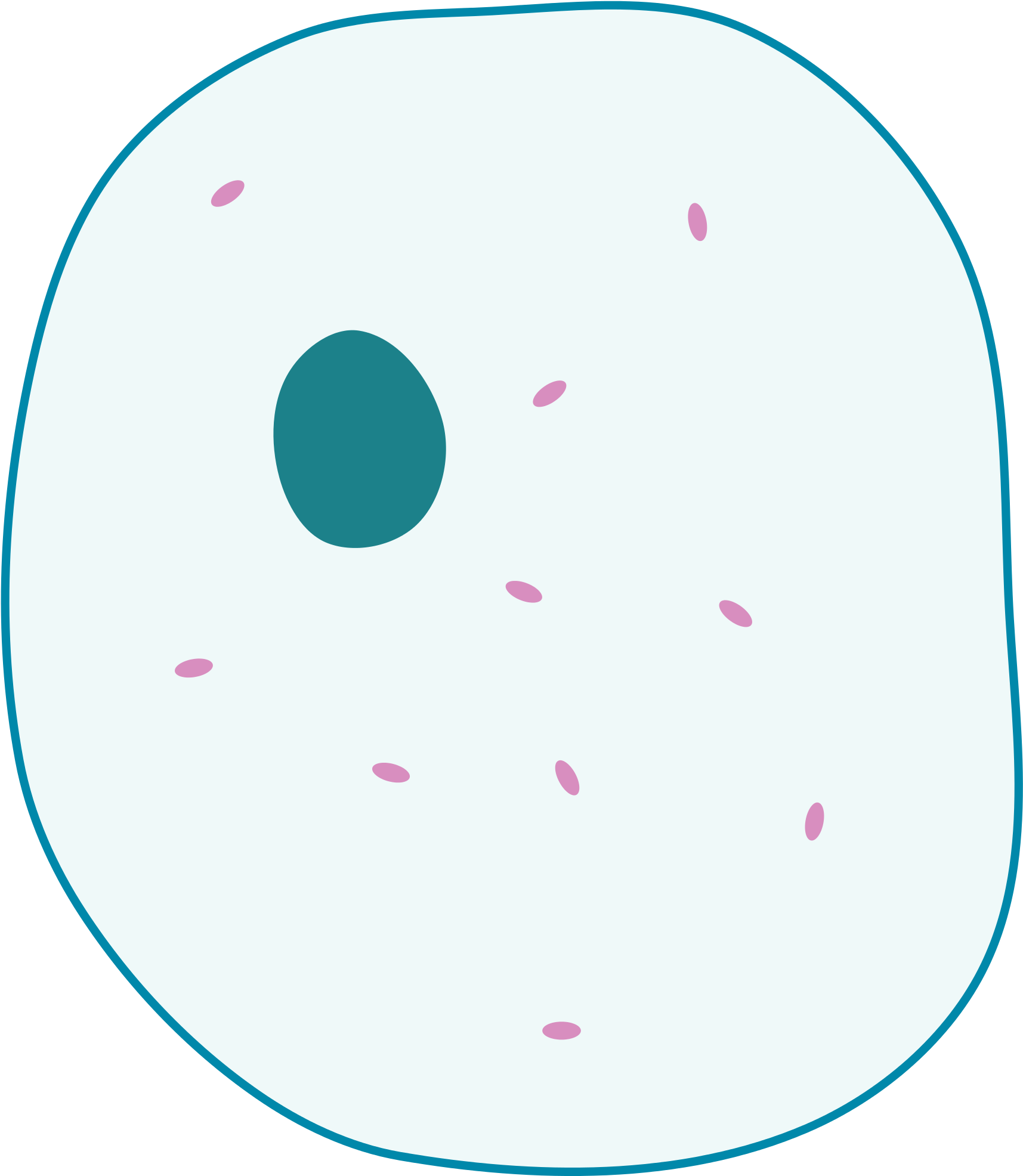 Body Cell PNG