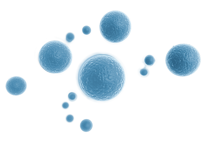 Body Cell Vector PNG Free Image