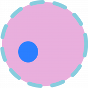 Imagem PNG do vetor de células corporais