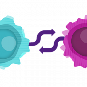 Body Cell Vector PNG Image HD