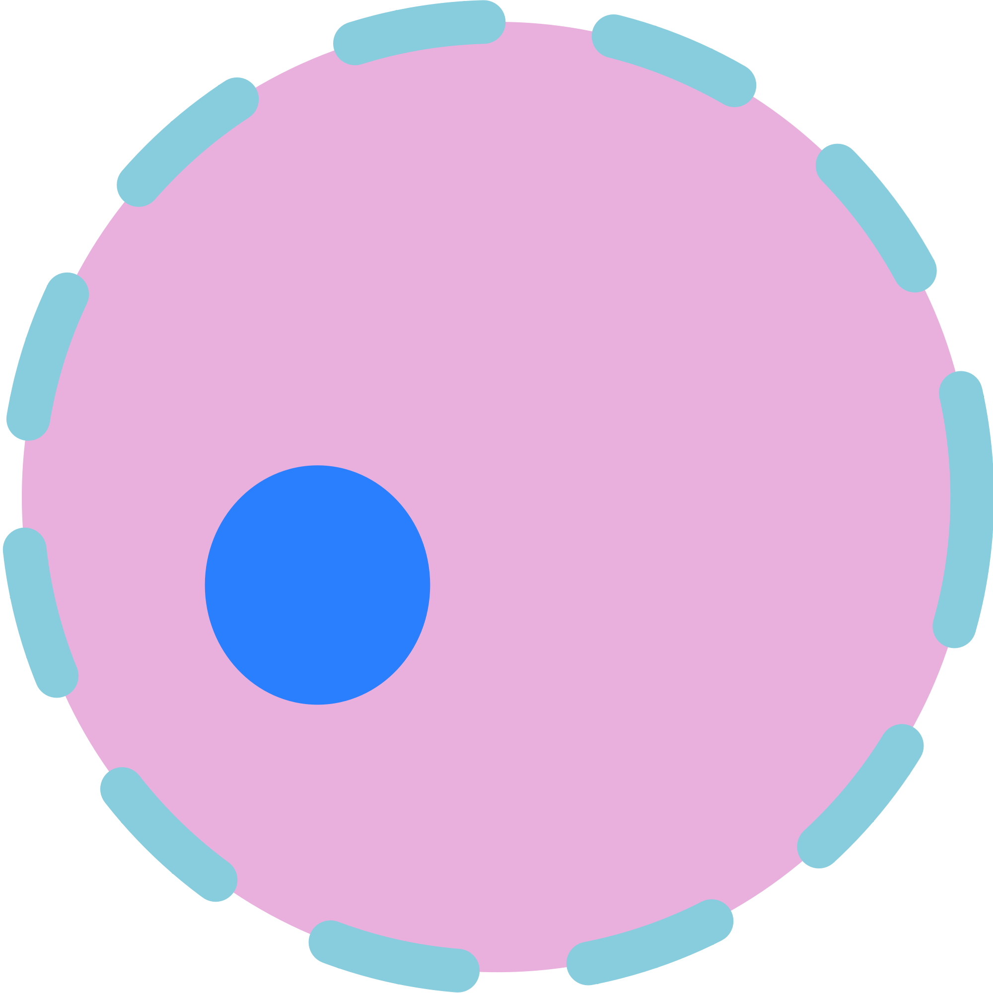 Body Cell Vector PNG Image