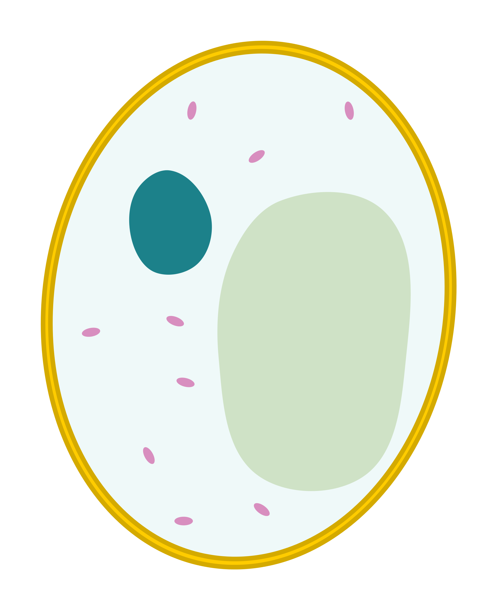 Body Cell Vector PNG Pic - PNG All