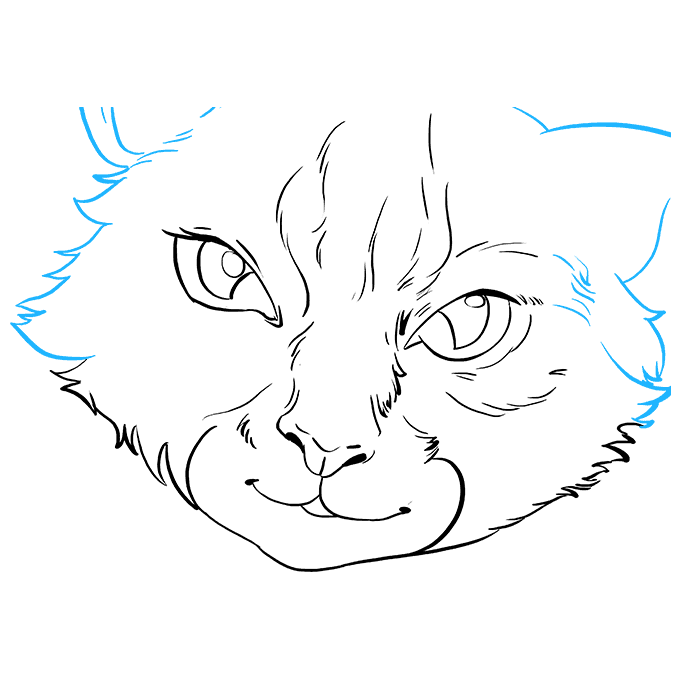 Cat Eyes PNG Pic Background