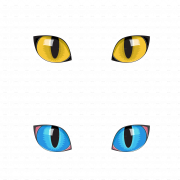 Les yeux du chat transparent