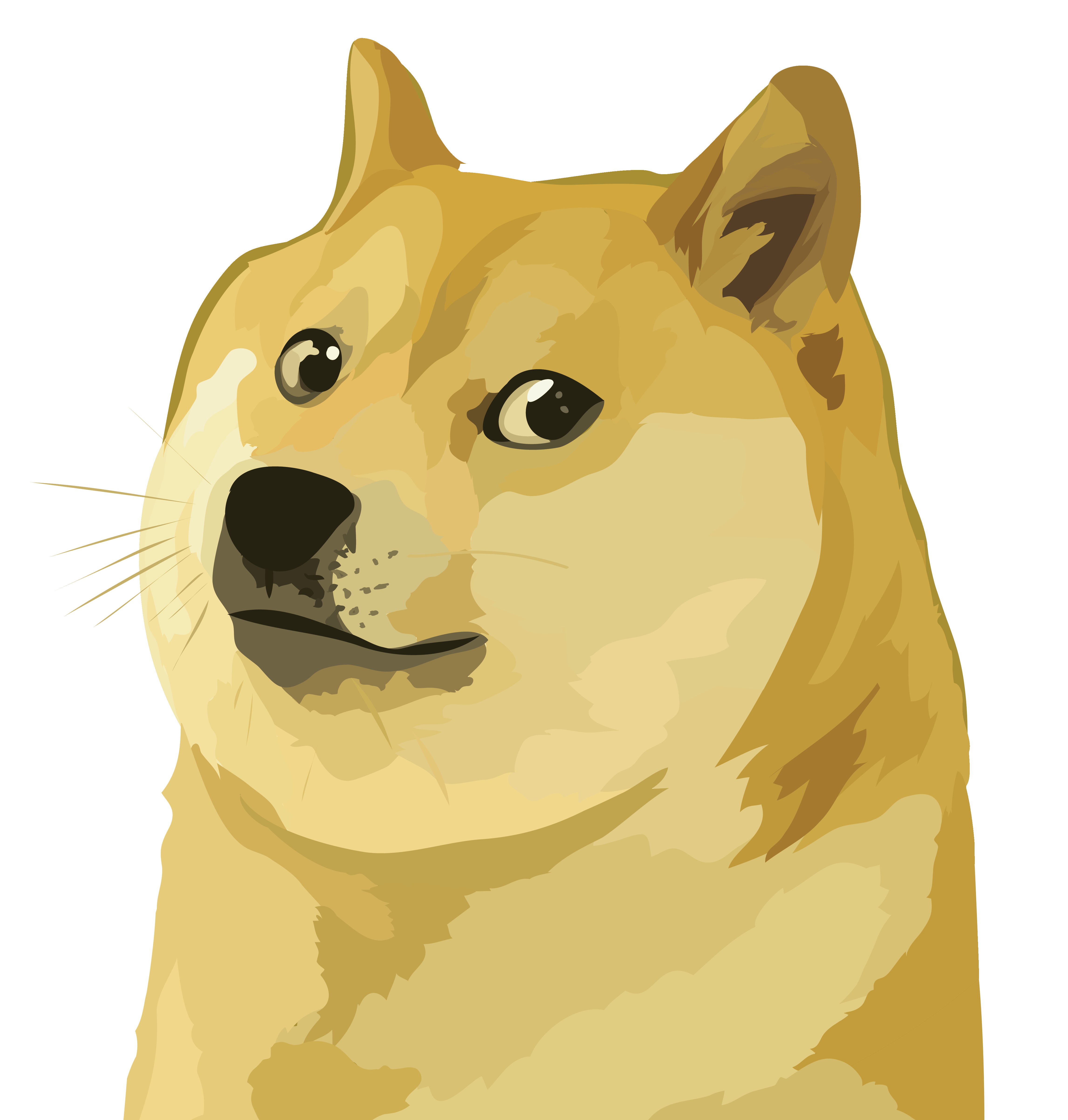 Dogecoin Crypto Logo PNG Photos