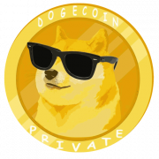 Dogecoin PNG Photo