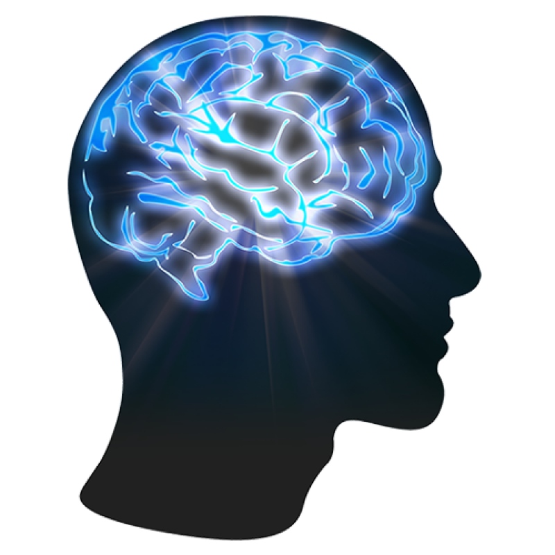 Knowledge Brain PNG Image