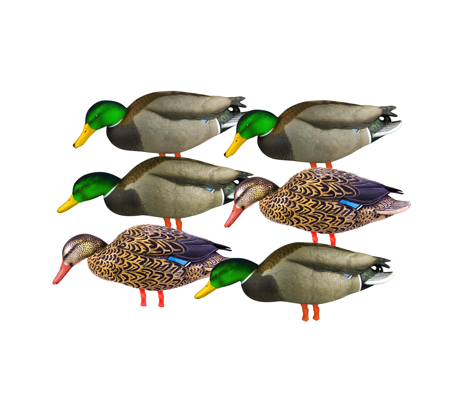 PNG Colvert
