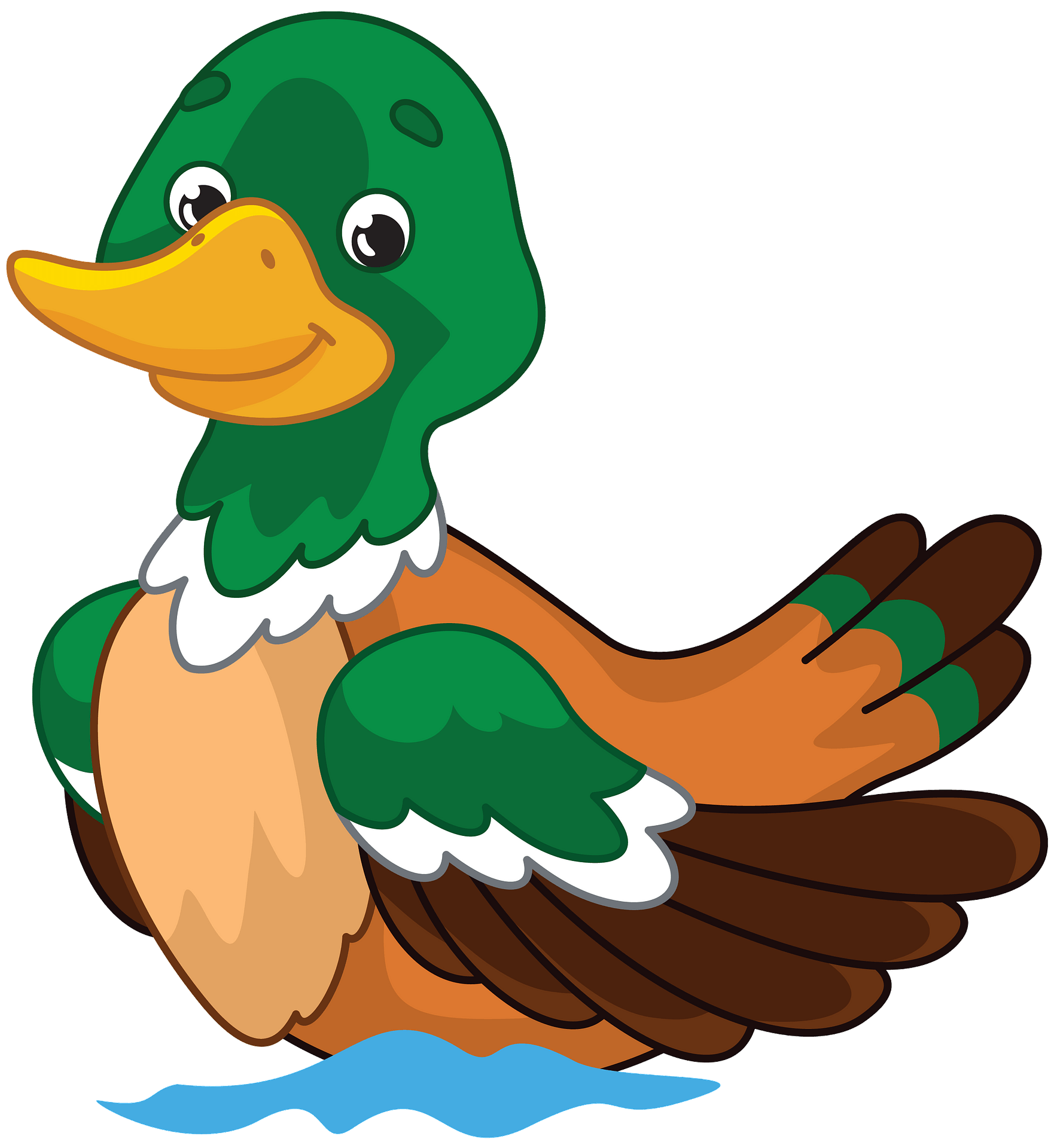 Mallard Vector PNG Picture