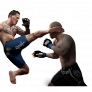 Mixed martial artist player png file