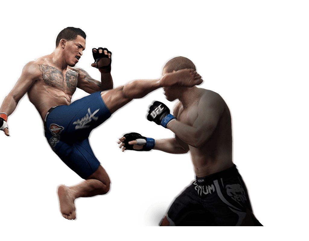 Mixed Martial Artist Player PNG File