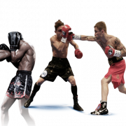 Mixed Martial Artist Player PNG HD -afbeelding