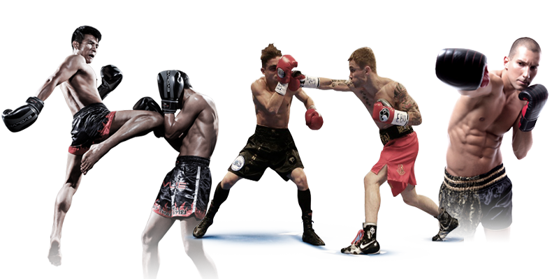 Mixed Martial Artist Player PNG HD Image
