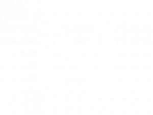 NEAR Protocol Crypto Logo