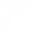 NEAR Protocol Crypto Logo PNG