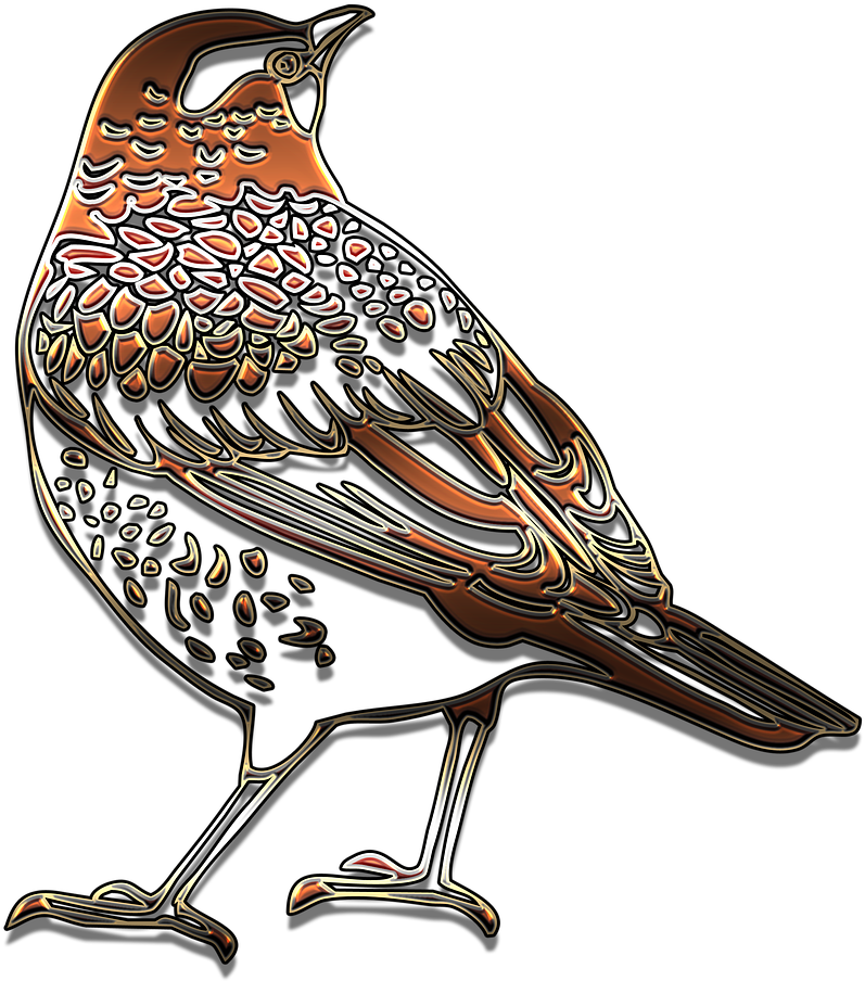 Starling Png HD Immagine