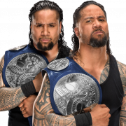 WWE Player PNG Images