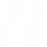 Wii Logo PNG -afbeelding