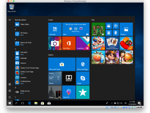Windows 11 PNG Cutout