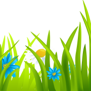 Yard Background PNG
