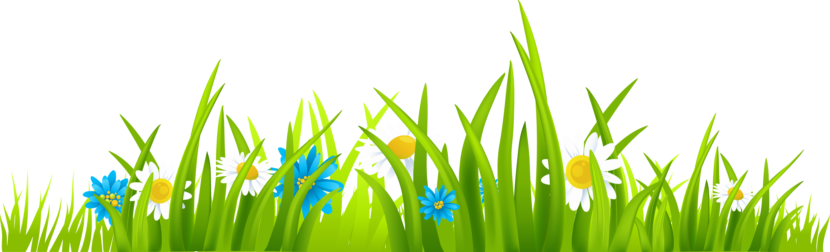 Yard Background PNG