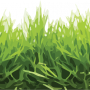 Yard PNG PIC -achtergrond