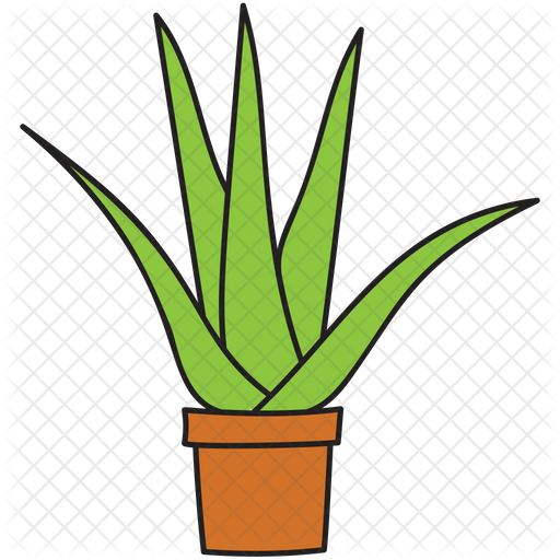Aloe vera png fotoğrafı