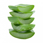 Aloe vera png resmi
