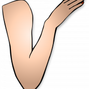 Arm PNG Clipart
