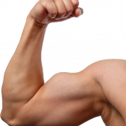 Arm PNG Images HD
