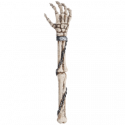 Arm PNG Pic