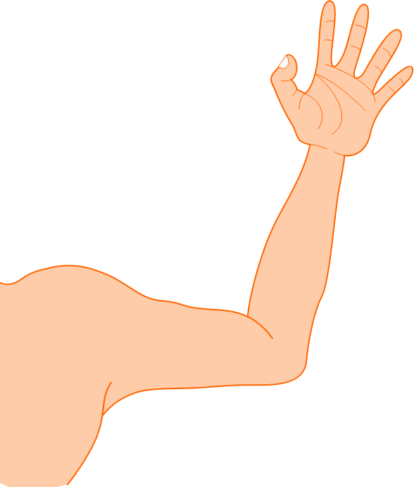 Arm PNG Picture