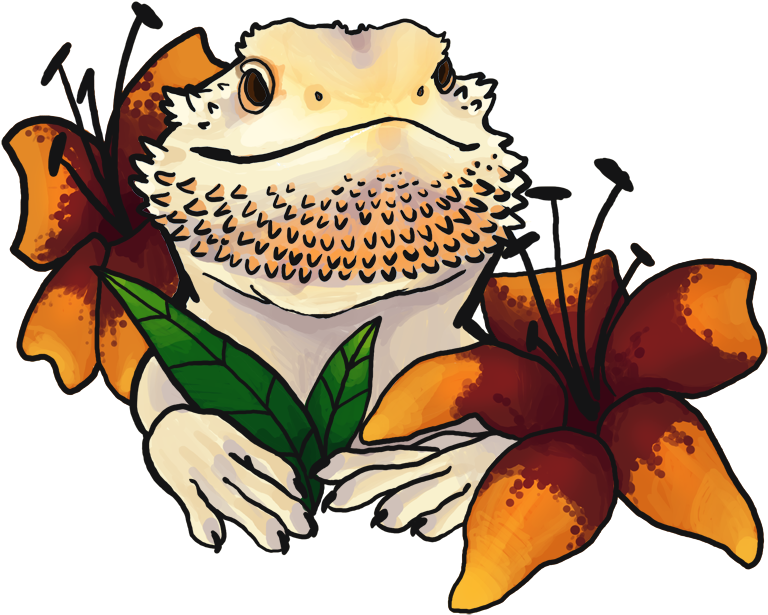 Bearded Dragon Background PNG