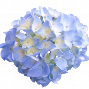 Blue Aesthetic Creative PNG Picture