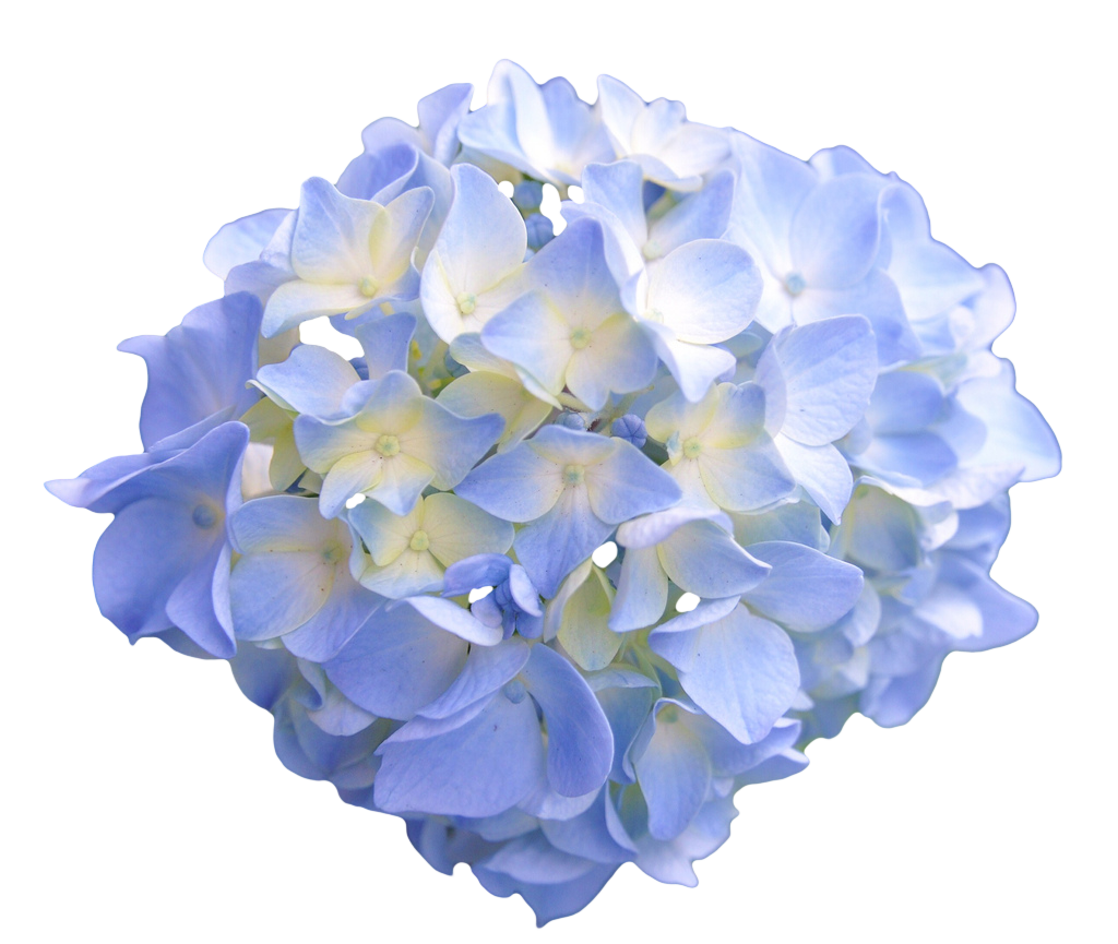 Blue Aesthetic Creative PNG Picture