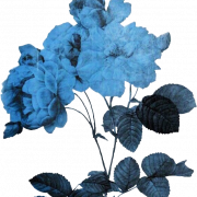 Immagini PNG grafico estetico blu