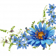 Синий цветок Png