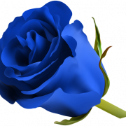 Синий цветок PNG -файл