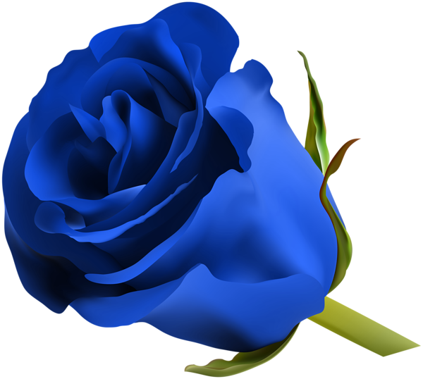 Blue Flower PNG File
