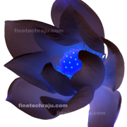 ภาพดอกไม้สีฟ้า PNG HD