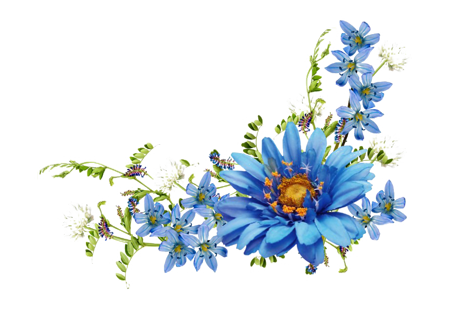 Blue Flower PNG
