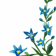 Blauwe bloemveer