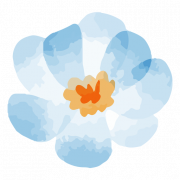 PNG de printemps de fleur bleue