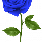 Clipart PNG de printemps de fleur bleue