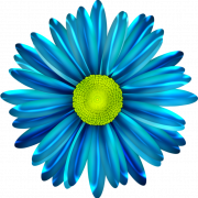 Синий цветочный пружинный файл пнн