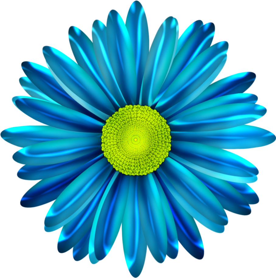 Blue Flower Spring PNG File