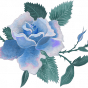 Blauwe bloemveer PNG -afbeelding